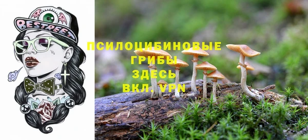 не бодяженный Беломорск
