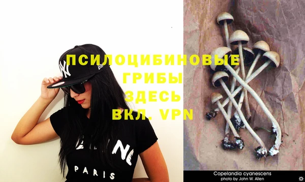 кокс Белоозёрский