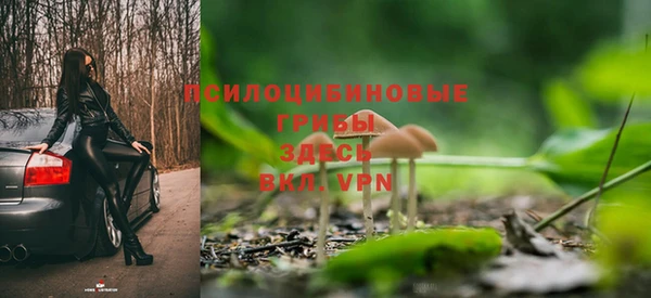 наркотики Белокуриха